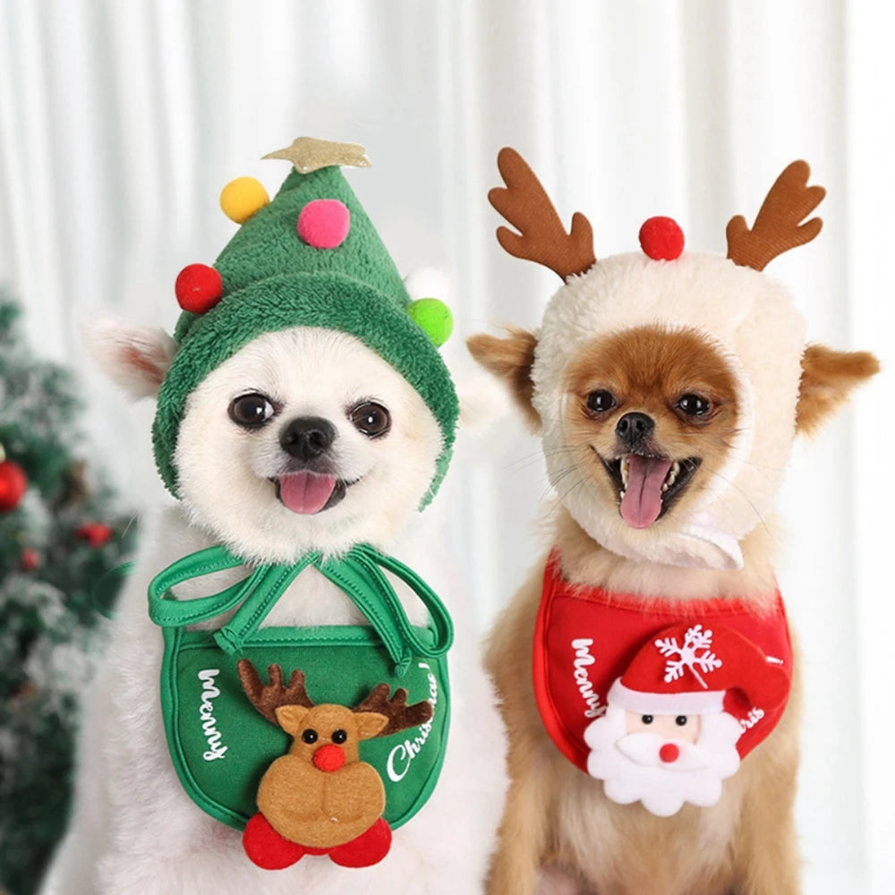 PawTree™ Holiday Pet Accessories